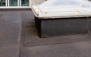 disadvantages of Rodeheath flat roofs
